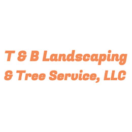 T and B Landscaping & Tree Service
